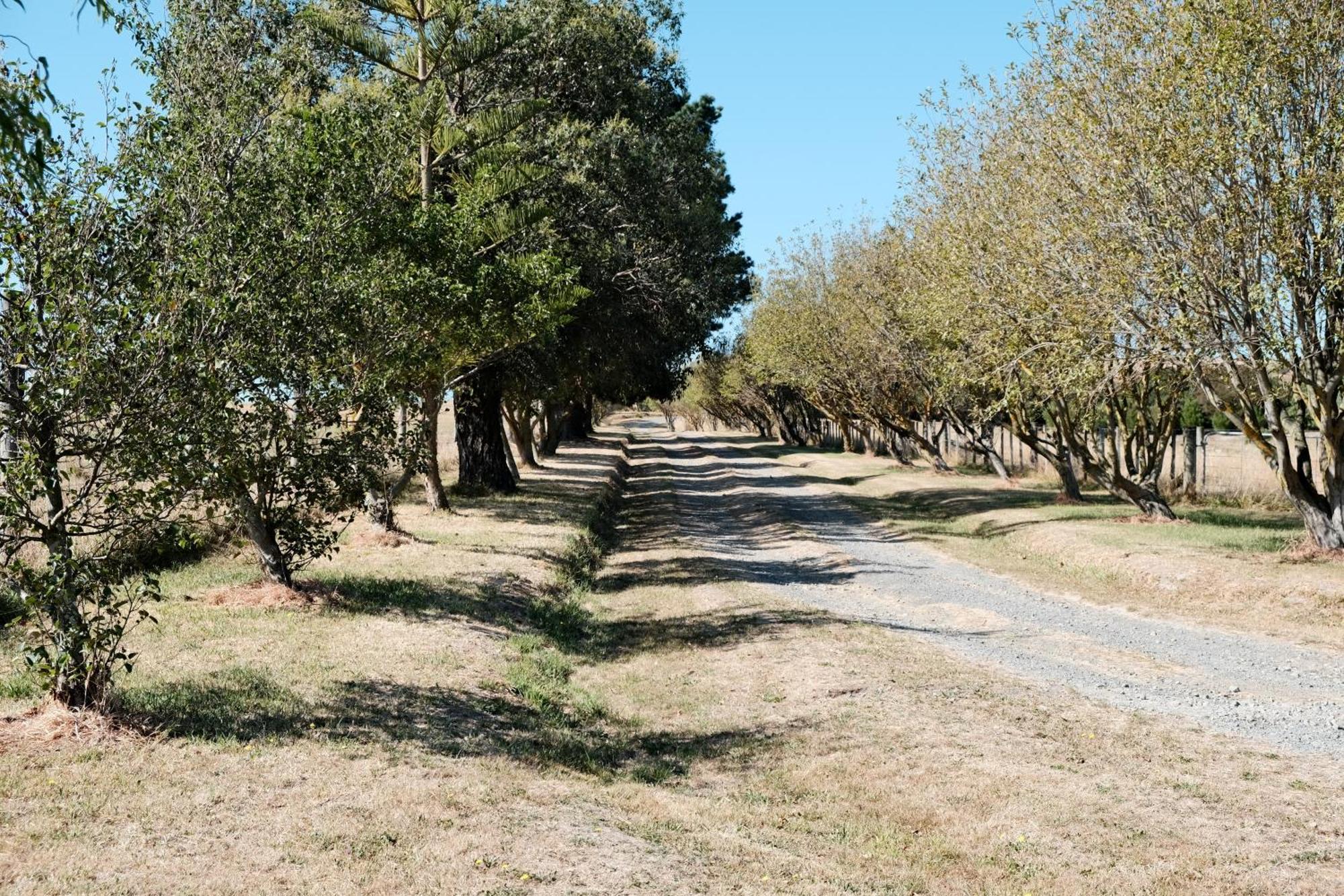 A Cabin With A Big View, Comfort And Tranquility, Close To Vines Martinborough Exterior photo